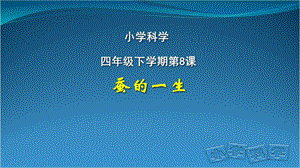 人教鄂教版四年級下冊科學8.蠶的一生 課件.ppt