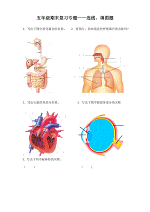 青島版五年級下冊科學期末復習專題——連線、填圖題（無答案）.doc