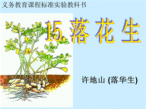 部編版五年級(jí)上冊(cè)語文2《落花生》課件（江西部級(jí)優(yōu)課）.pptx