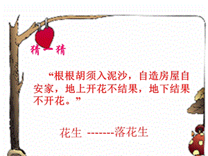部編版五年級(jí)上冊(cè)語文2《落花生》課件（青海省級(jí)優(yōu)課）.pptx