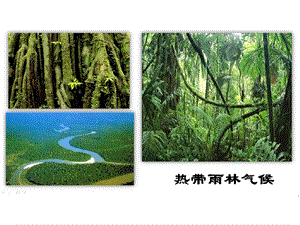 人教版七年級上冊地理3.4《世界的氣候》課件（江蘇市級優課）.pptx