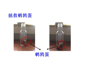 教科版八年級(jí)下冊(cè)物理10.2認(rèn)識(shí)浮力課件（四川省級(jí)優(yōu)課）.pptx