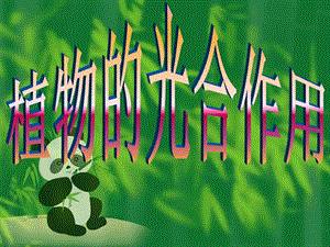 蘇科版七年級上冊生物3.4.1植物的光合作用課件（江蘇市級優(yōu)課）.ppt