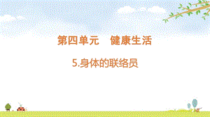 2021新版教科版五上科學(xué)4-5身體的聯(lián)絡(luò)員-課件.pptx