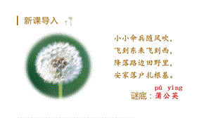 人教部編版三年級上冊語文（教學課件）16.金色的草地.pptx