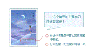 人教部編版三年級上冊語文（教學課件）15.搭船的鳥.pptx