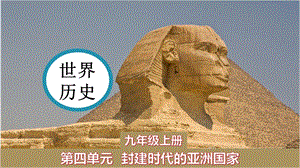 人教部編版九年級上冊歷史課件——第11課 古代日本.pptx