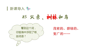 人教部編版三年級上冊語文（教學課件）23.父親樹林和鳥.pptx