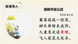 人教部編版四年級上冊語文（教學課件）8.蝴蝶的家.pptx