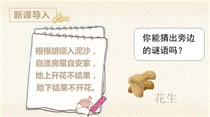 人教部編版五年級上冊語文（上課課件）2.落花生.pptx