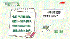 人教部編版四年級上冊語文（教學課件）11.蟋蟀的住宅.pptx