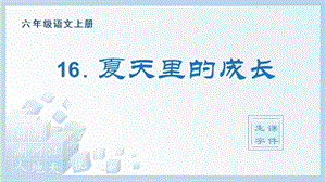人教部編版六年級上冊語文（生字課件）16.夏天里的成長.pptx