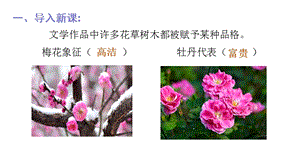 人教部編版六年級上冊語文（上課課件）2.丁香結.ppt