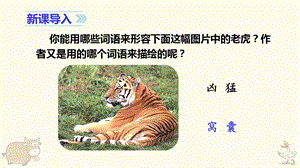 人教部編版四年級上冊語文（教學課件）19一只窩囊的大老虎.pptx