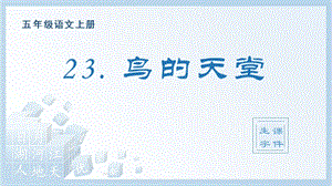 人教部編版五年級上冊語文（生字課件）23.鳥的天堂.pptx