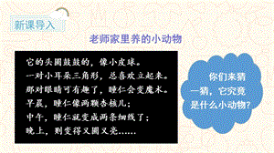 人教部編版二年級上冊語文（教學(xué)課件）口語交際 有趣的動物.pptx