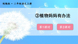 人教部編版二年級上冊語文（教學課件）3植物媽媽有辦法.pptx