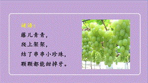 人教部編版二年級(jí)上冊(cè)語(yǔ)文（教學(xué)課件）11.葡萄溝.pptx
