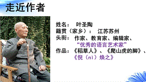人教部編版八年級上冊語文18蘇州園林課件（河南省級公開課）.pptx