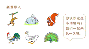 人教部編版一年級上冊語文（教學課件）課文6比尾巴.pptx