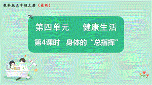 2021新版教科版版五年級上冊科學(xué)4.4身體的“總指揮“-課件（教學(xué)ppt).pptx