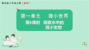 2021新版教科版版六年級(jí)上冊(cè)科學(xué)1.6 觀察水中的微小生物-課件（教學(xué)）.pptx
