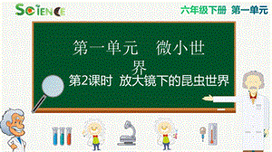 教科版六年級下冊科學1.2放大鏡下的昆蟲世界課件.pptx