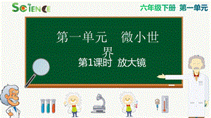 教科版六年級下冊科學1.1放大鏡課件.pptx
