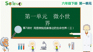 教科版六年級(jí)下冊(cè)科學(xué)1.7 用顯微鏡觀察身邊的生命世界（三） 課件.pptx