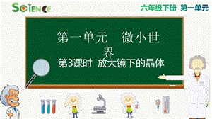 教科版六年級下冊科學1.3放大鏡下的晶體課件.pptx