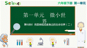 教科版六年級(jí)下冊(cè)科學(xué)1.6 用顯微鏡觀察身邊的生命世界（二） 課件.pptx