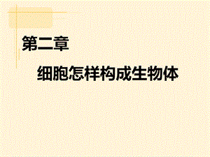 人教版七年級上冊生物2.2《動物體的結構層次》教學課件（28張PPT）.pptx