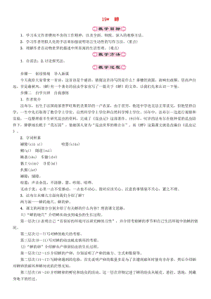 人教部編版八年級語文上冊第5單元19蟬教案.doc