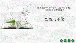 青島版（54制）五年級上冊科學2.《像與不像》教學課件.pptx