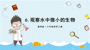 教科版六年級上冊科學第1單元第6課 觀察水中微小得生物 課件（ppt教學）.pptx