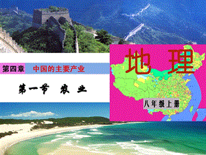 湘教版八年級(jí)上冊(cè)地理第4章第一節(jié)農(nóng)業(yè)-課件.ppt