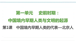 部編版七上歷史知識總結課件第1課中國境內早期人類的代表北京人.pptx