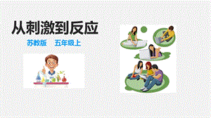 2021新蘇教版五年級上冊科學18從刺激到反應 課件.ppt