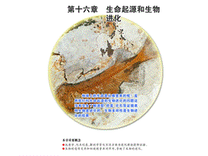 蘇教版八年級上冊生物16.1《生命的誕生》公開課課件（安徽市級優(yōu)課）.ppt