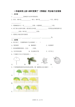 蘇教版一年級上冊科學9.樹葉變黃了（同步練習題含答案）.docx