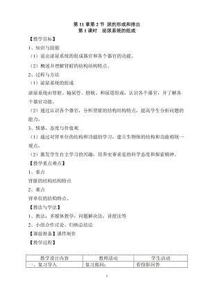 北師大版七下生物11.2《尿的形成與排出》教案（沈老師公開課作品）.docx