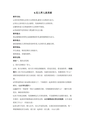 部編版一年級下冊道德與法制6《花兒草兒真美麗》教案（趙老師獲獎公開課作品）.docx