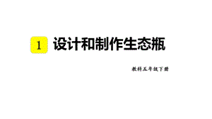 教科版五年級下冊科學1.7 設計和制作生態瓶 教學課件.pptx