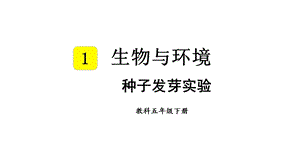 教科版五年級下冊科學1.1 種子發芽實驗 教學課件.pptx