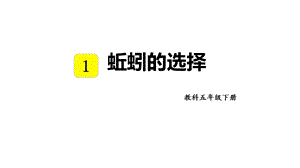 教科版五年級下冊科學1.4蚯蚓的選擇教學課件.pptx