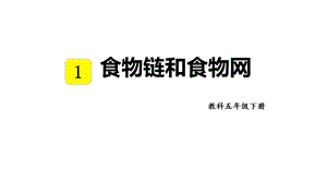 教科版五年級下冊科學1.6 食物鏈和食物網 教學課件.pptx