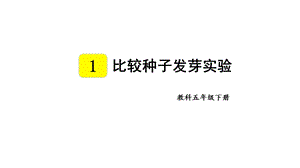 教科版五年級下冊科學(xué)1.2 比較種子發(fā)芽實驗 教學(xué)課件.pptx