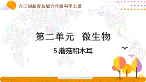 青島版六年級上冊科學2.5《蘑菇和木耳》課件（新版）.pptx