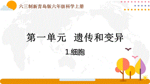 青島版六年級上冊科學1.1《細胞》課件（新版）.pptx