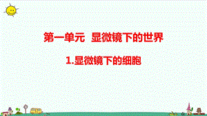 大象版六年級上冊科學1.1顯微鏡下的細胞（含練習）課件.pptx